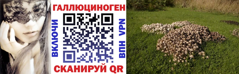 Купить Вытегра Галлюциногенные грибы мицелий